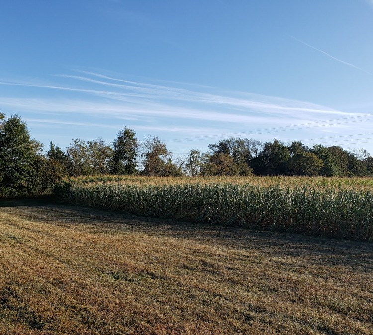 Farmview Field (Harleysville,&nbspPA)